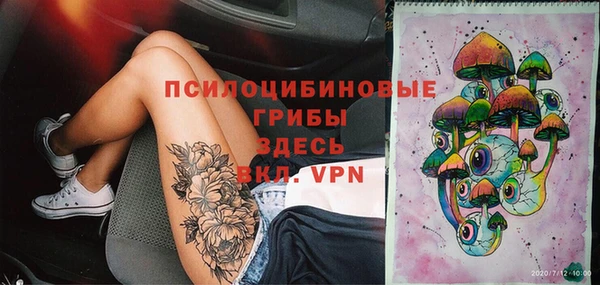 соль курить ск Кукмор
