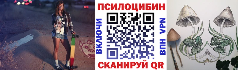 Купить  Венёв  Галлюциногенные грибы MAGIC MUSHROOMS 